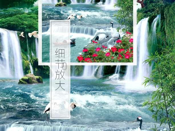 寻找萌宠松鼠
